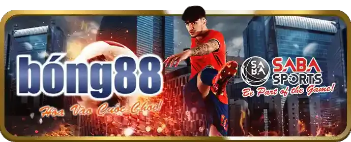 Hoàn trả hàng tuần Falconbet
